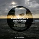 Roman Gostev - Speak In Me
