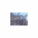 Mindfulness Healing BGM Project - Landscape & Refresh (Original Mix)