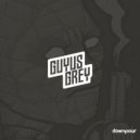 Guyus Grey - \'91 (Original Mix)
