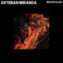 Esteban Miranda - Overclock