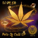 DJ Spiller - Pots Of Cali