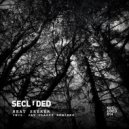 Secluded - Heat Seeker (Jay Clarke Remix V2)