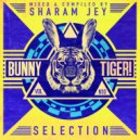 Sharam Jey, Raul Rojav - BOOM! (Original Mix)