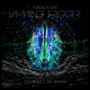 Millivolt - Schroedinger\'s Pony (Soluble Sounds Remix)