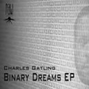 Charles Gatling - What Is