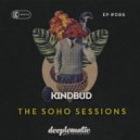 Kindbud, Nashom - Feeling It (Chad Jack Remix)