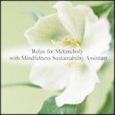 Mindfulness Sustainability Assistant - Magnetism & Frustration (Original Mix)