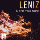 Leniz - Question My Love