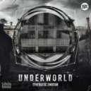 Synergetic Emotion - Underworld
