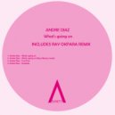 Andre Diaz - Tool Five (Original Mix)