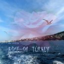 Ilya Golitsyn - Rose of Turkey