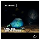 Raul Del - I Like To Looking (Original Mix)