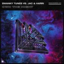 Swanky Tunes vs. Jac & Harri - Own The Night