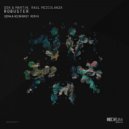 Dok & Martin, Raul Mezcolanza - Robuster