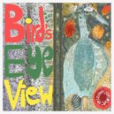 ALLEYS - Bird's Eye View