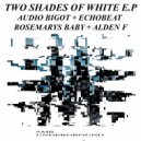 Audio Bigot - Two Shades Of White (Alden F Remix)