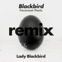 Lady Blackbird - Blackbird