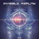 Invisible Reality - Visibility