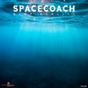 Spacecoach - Deep Reality ()