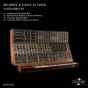 Brisboys & Richie Blacker - Synthasonic