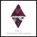Liss C. - Trotamundos (Robert Feedmann Remix)