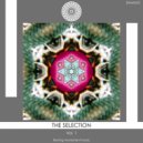 Giuliano Rodrigues - Sound Division