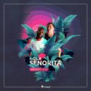 MALDIVA & MC STAN - Hola Senorita (Original mix)