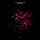Amirali Shakoori - Another Destiny