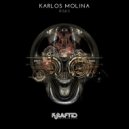 Karlos Molina - Risk3