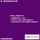 2 Reezone - Polarity (Sound Players Remix)