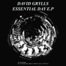 David Grylls - Dance For Focus