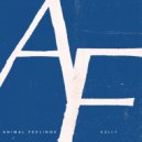 ANIMAL FEELINGS - Gully (Original Mix)