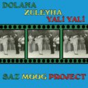 Saz Moog Project - Dolana