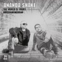 Ananda Shake - Interesting Concepts