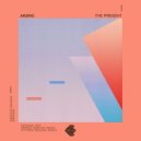 Akero - The Present