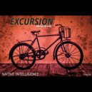 Native Intelligence - I feel Everything