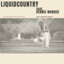 LiquidCountry & Dennis Wonder - Slow Down