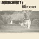 LiquidCountry & Dennis Wonder - Slow Down ()