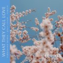 Ferdinand Weber, Fabich, Kelli-Leigh - What They Call Love