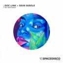 Sean Biddle, Doc Link - No Mistakes