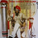 Sonic Funk Foundry - Is Da Funk