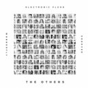 Electronic Fluke - The others ()