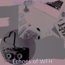 Attractive Work from Home Music - Astonishing - Moments for Virtual Classes ()