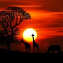 BluSky - Safari (Original Mix)