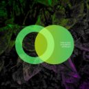 Ivan Aliaga - Systematic Approach