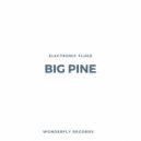 Electronic Fluke - Big Pine