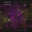 Electronic Fluke - Lush Promises ()