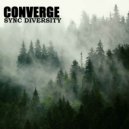 Sync Diversity - Converge