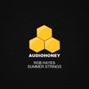 Rob Hayes - Summer Strings