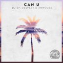 DJ SP, Deepest, AMHouse - Can U
